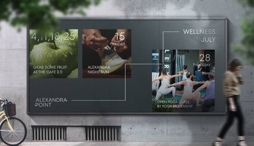 西林区画册设计公司如何进行品牌审核