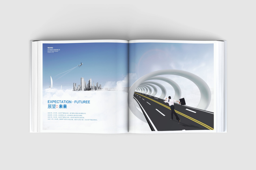 西林区画册设计