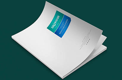 西林区样本册设计：以严谨逻辑，展现城市产业的硬核实力